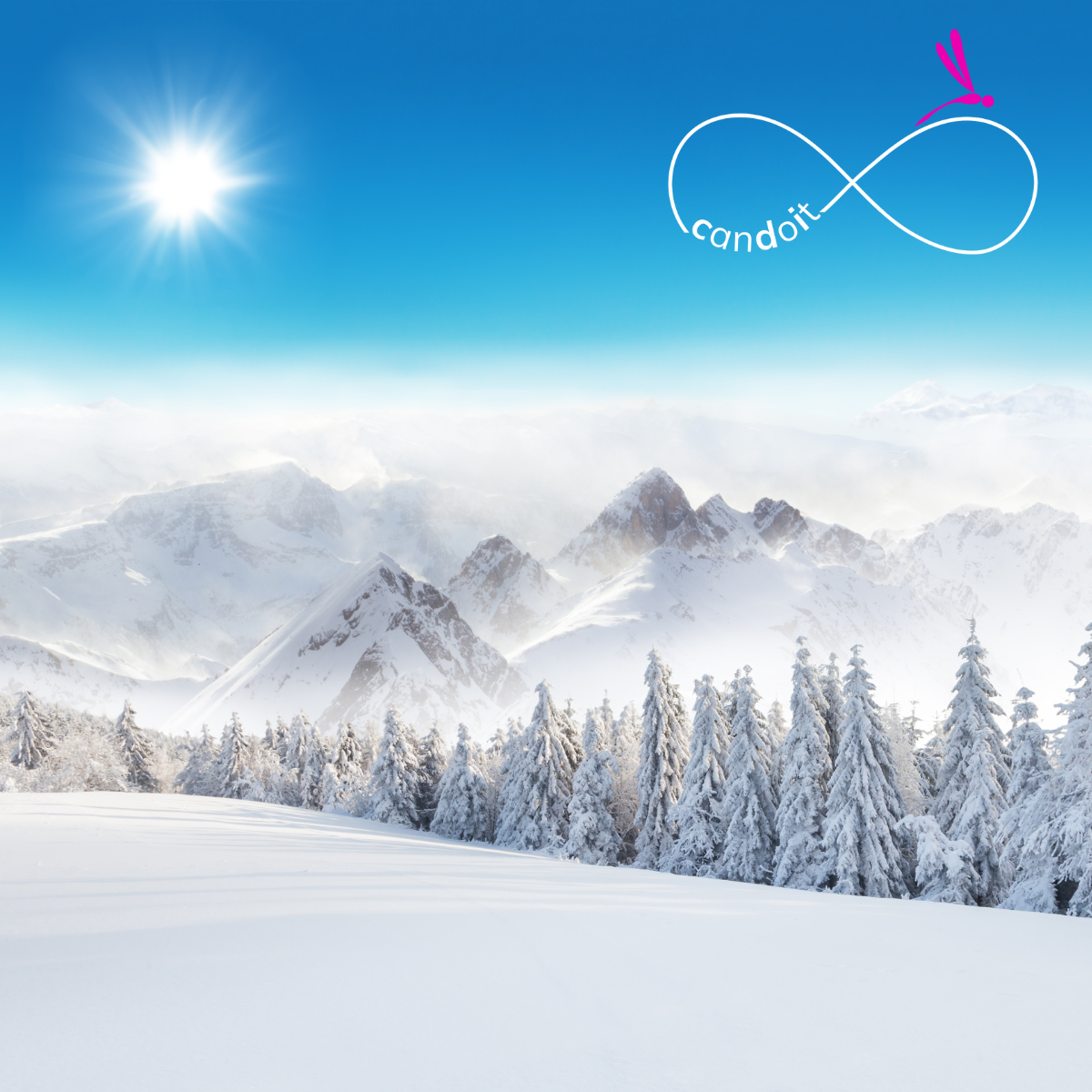 linkedin posts susanne candoit neu